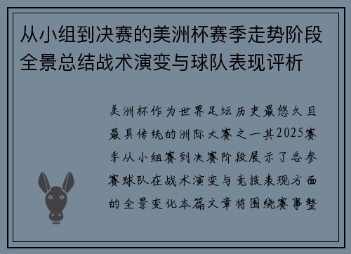从小组到决赛的美洲杯赛季走势阶段全景总结战术演变与球队表现评析